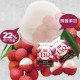 【盛香珍】Dr.Q蒟蒻果凍265g